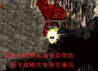 ְҵ˽ǿƽ٣ֹԴȫ
