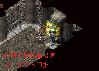 Ϸ˽ٰ棺ָ