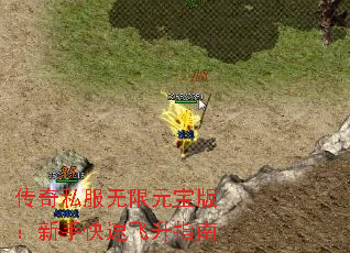 ˽Ԫ棺ֿٷָ