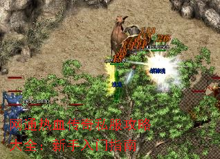 ͨѪ˽Դȫָ