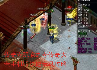 ֮ϴȫֻ