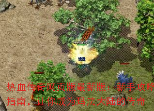 Ѫҳ°棺ָֹϣΪ귨½Ĵ