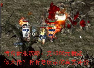 ·ԣ1000ԪУҵʵ
