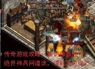 ϷԣԽ棺ʵ;ŷâ