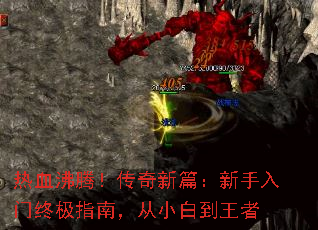 ѪڣƪռָϣС׵