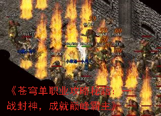 񷵥ְҵؼһս񣬳ɾ۷
