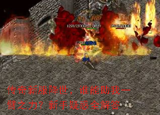 ·˭һ֮ɻȫ