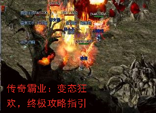 ҵ̬񻶣ռָ