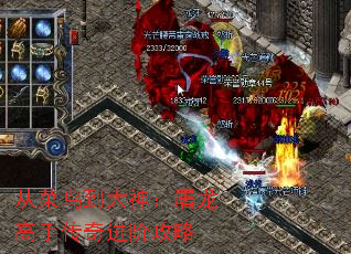 从菜鸟到大神：屠龙高手传奇进阶攻略