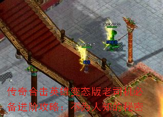 ϻӢ۱̬˾ر׹ԣΪ֪