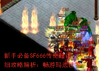 ֱرSF666泬ϸԽ귨