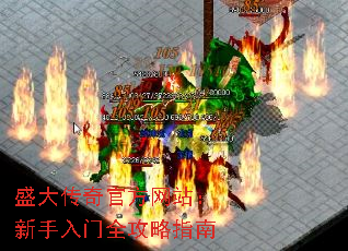 ʢٷվȫָ