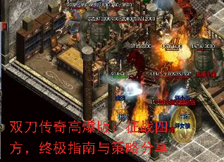 ˫߱棺սķռָԷ