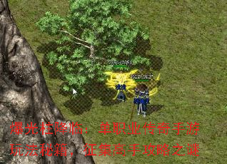 ٣ְҵ淨ؼֹ֮