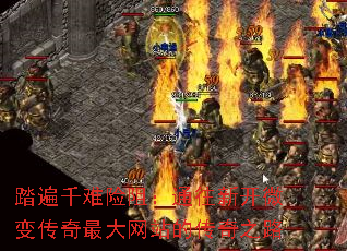 ̤ǧ裺ͨ¿΢䴫վĴ֮·
