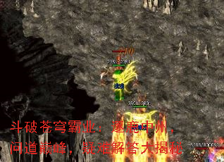 Ʋҵ¹ݣʵ۷壬ѽ