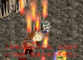 ٹֻ棺Сָϣֲã