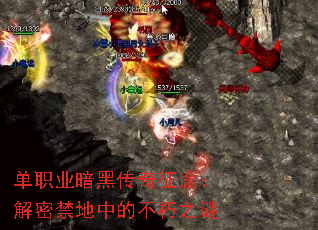 ְҵڴ;ܽеĲ֮