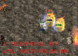 1.76΢䴫˽ֱؿȼر