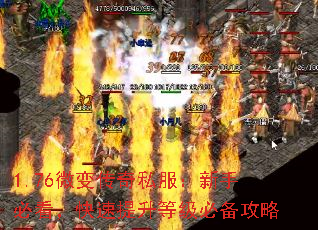 1.76΢䴫˽ֱؿȼر