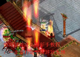 SFԽ˽ֽ̳̣һרϷ