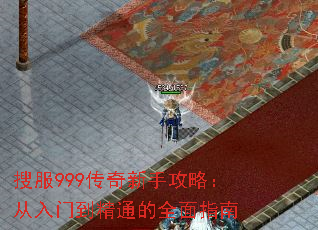 ѷ999ֹԣŵͨȫָ
