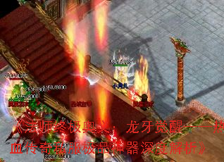 ʦռ壺ѡѪ˽ƷȽ