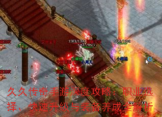 þôȹԣְҵѡ񡢿װȫ
