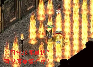 ˽ңûпƼ