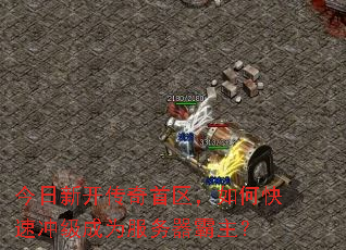 ¿οٳ弶Ϊ