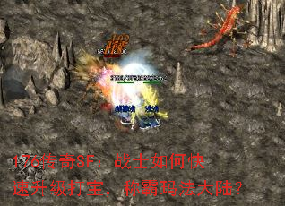 176SFսʿο򱦣ư귨½