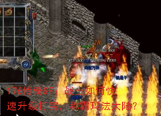 176SFսʿο򱦣ư귨½