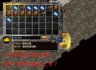 176ϻ˽棺ο֣