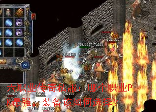ְҵ˽ĸְҵPKǿװѡ