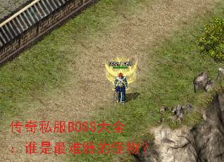 ˽BOSSȫ˭ѲĹ