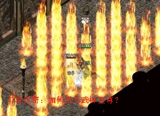 ʹ棺γΪ