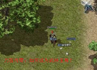 ʹ棺γΪ