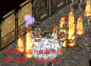 ɢ˷ο磬ʶ۷壿