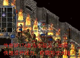 SF176СƷοսư귨½