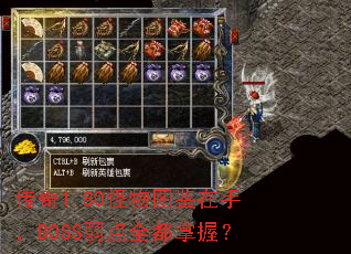 1.80ͼ֣BOSSȫգ