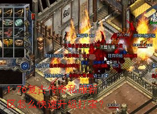 1.76Ŵ˽ô򱦣