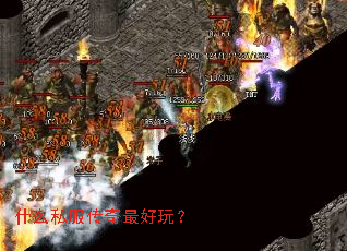 ʲô˽棿