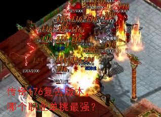 176Ű汾ĸְҵǿ