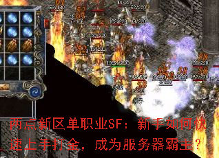 ְҵSFοִ𣬳Ϊ