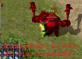 ְҵSFοִ𣬳Ϊ