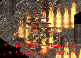 2018ְҵɰ汾̳ο֣ȿӣ