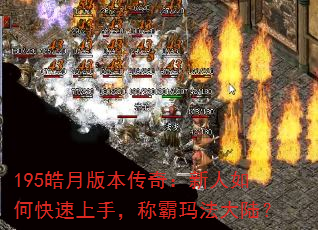 195°汾棺ο֣ư귨½