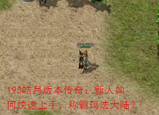 195°汾棺ο֣ư귨½