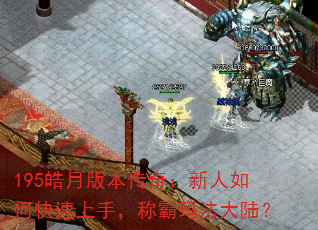 195°汾棺ο֣ư귨½