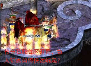 ˽ģɢο